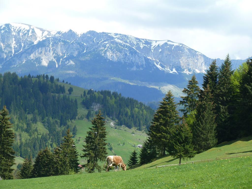 Ranger Chalet Felsőmoécs Szoba fotó