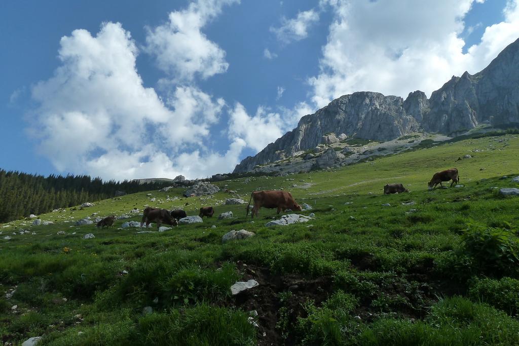 Ranger Chalet Felsőmoécs Szoba fotó
